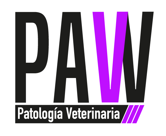 Nuestro mayor interés y compromiso es ofrecer un servicio de calidad en el procesamiento e interpretación de muestras histopatológicas con agilidad y eficacia para de esta forma contribuir de manera confiable al diagnóstico y tratamiento de los pacientes y a las diferentes necesidades de nuestros clientes. Ofrecemos variados servicios desde pruebas de rutina y necropsias hasta estudios complementarios como inmunohistoquímica, citopatología y microscopía electrónica tanto para muestras de origen animal como vegetal.