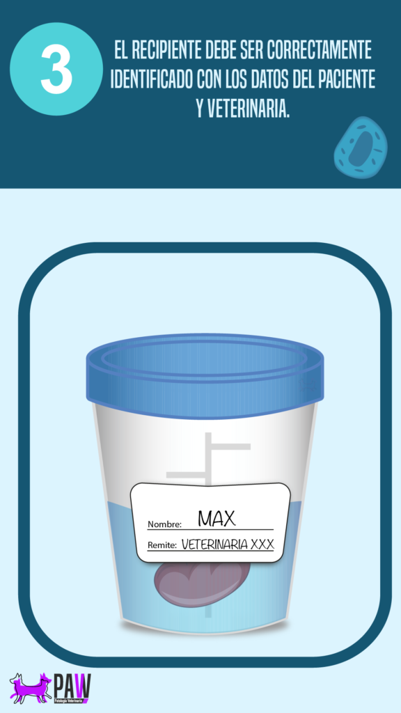 El recipiente debe ser correctamente identificado con los datos del paciente y veterinaria.